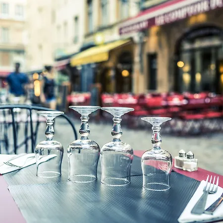 Ibis Styles Lyon Gorge De Loup Saphir ליון