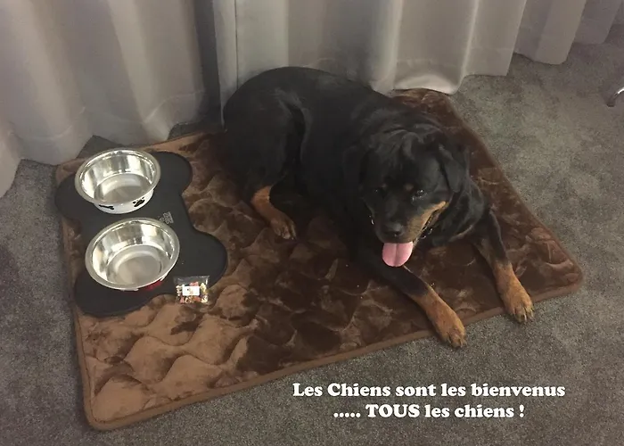 Saphir 3* Lyon